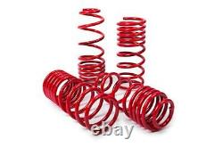 Short Springs Mts Volkswagen Golf 3 From 1994 To 1997-60/60mm-2.8 Vr6/2.0gti